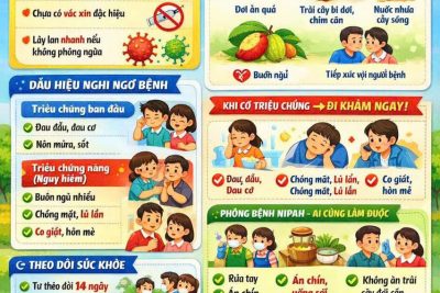 THÔNG BÁO PHÒNG, CHỐNG DỊCH BỆNH DO VIRUS NIPAH