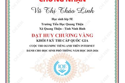 BẢNG VÀNG THÀNH TÍCH TẠI KỲ THI IOE CẤP QUỐC GIA